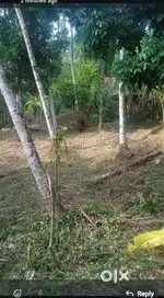 10.3 cent plot for sale  22 lakhs