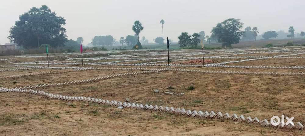 Very good plot with neat and clean document clear boundry wall society