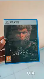 Black Myth Wukong PS5 physical disk