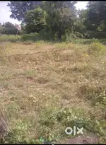 170 वर्ग मीटर पश्चिम  रोड