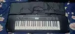 Casio ctk 245