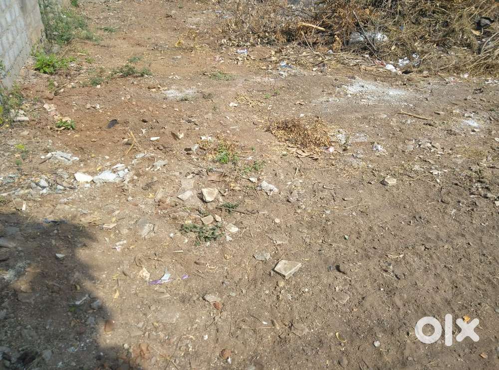 Rampuram plot