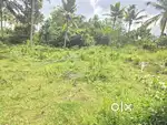 65CENT HOUSE PLOT KAZHAKKOOTTAM CHANDAVILA