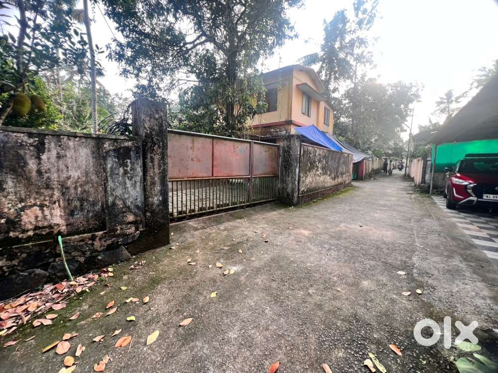 തൃപ്പൂണിത്തുറ eroor 14cent ഒന്നിച്ചോ മുറിച്ചോ കൊടുക്കും cent 11lakh