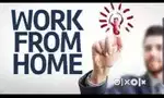 jobs for the needy one