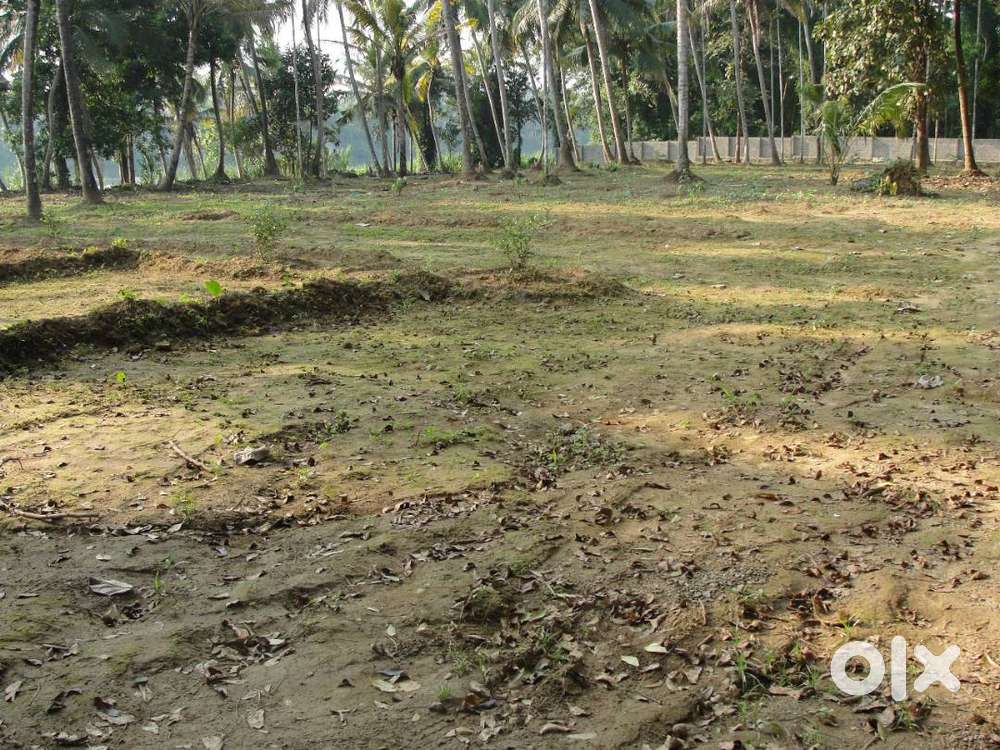 Aluva waterfront river front land sale airport NH riverfront Kochi