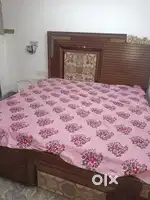 Boys PG Near metro station Shahdara good location