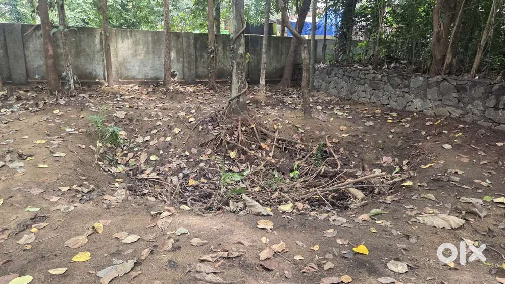 Land for sale at Aalinchuvadu