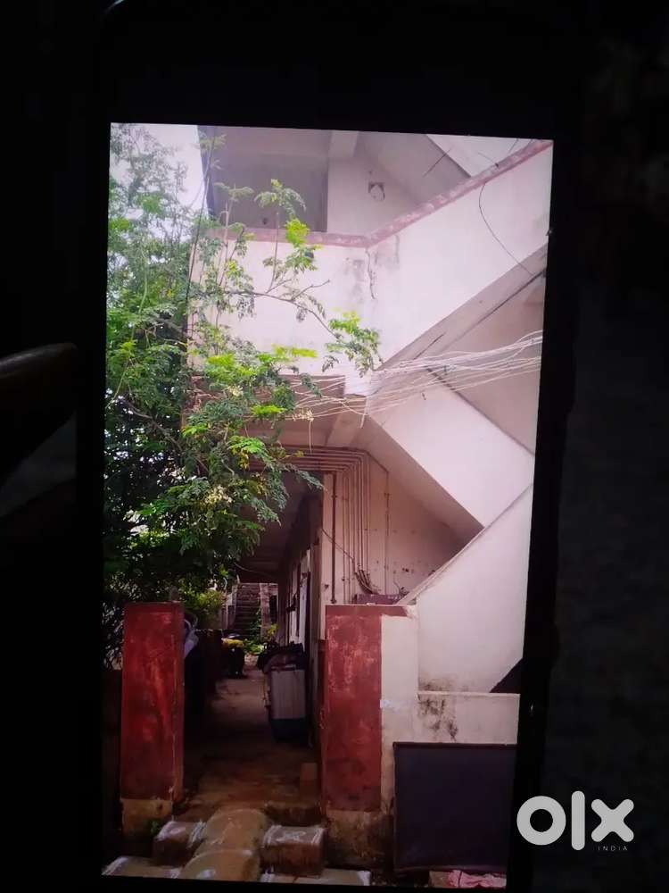 Apartment 6 House 1 shop