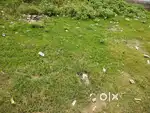 Plot selling