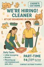 Part-Time Cat Boarding Cleaning Helper Needed