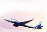 we are hiring for male female Both type Candidates required in Indigo