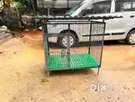 Dog cage for small Breads