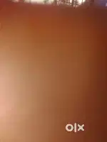 Electrician