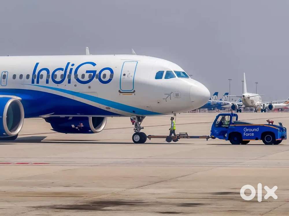 Opening available apply fast for Indigo airline