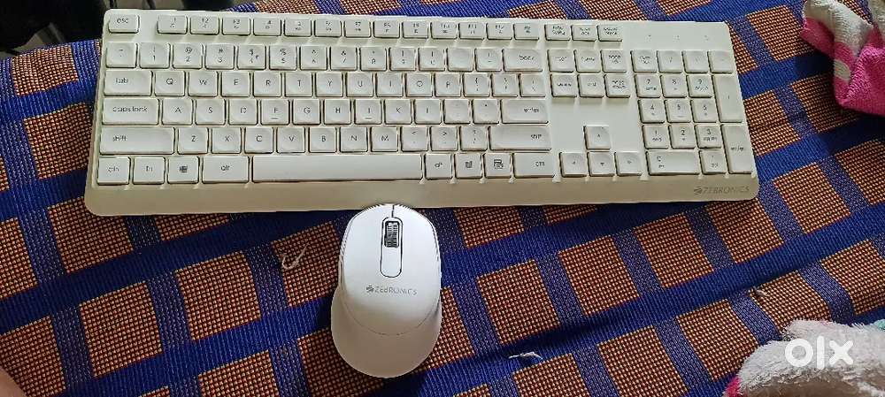 Zebronics Mouse and Keyboard (wireless)