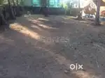5.500 cent plot elamakkara near skyline