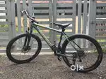 Cosmic Bc lynx cycle