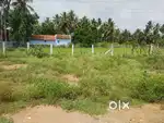 Roja garden
Kuniamuthur 3.3 cents available per cent 10,50000