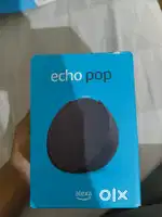 Alexa echo pop offer 1999 only