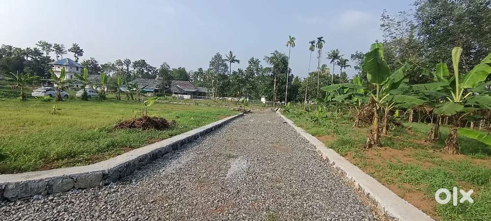 അങ്കമാലി തുറവൂർ ജംഗ്ഷന് സമീപം വീട് പണിയാൻ അനുയോജ്യ പ്ലോട്ടുകൾ