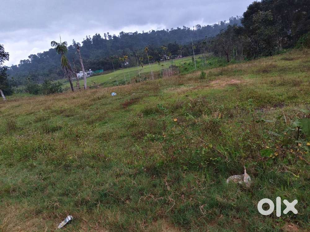 12 Cent Land near WMO English Medium Wayanad