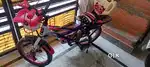 Rover radon kids bycylle