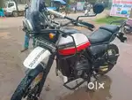 Himalayan 411