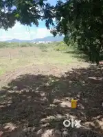 Plot for sale