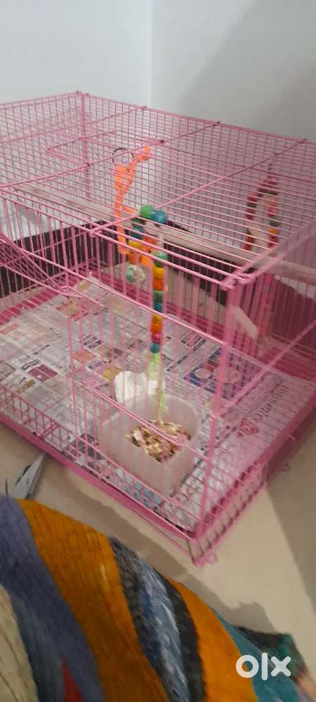 Cages for pets