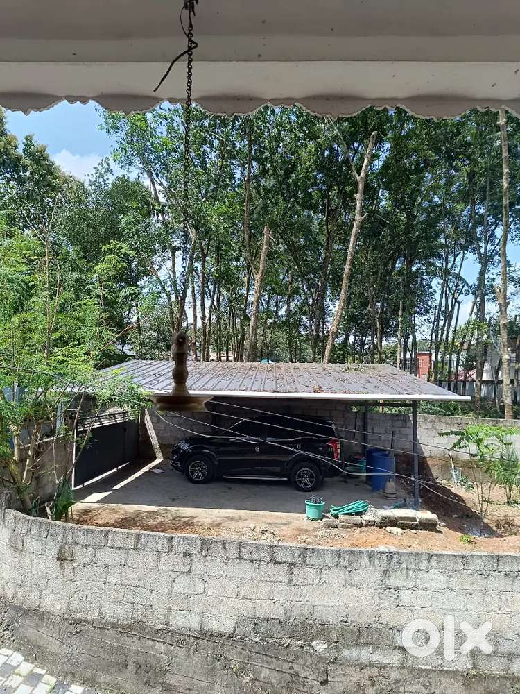 Residential Plot for Sale 5 Cents, with compund, Gate and carporch