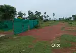 Best n Fast Growing Site