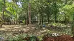 20 cent land for sale