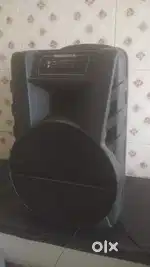 Professional speaker