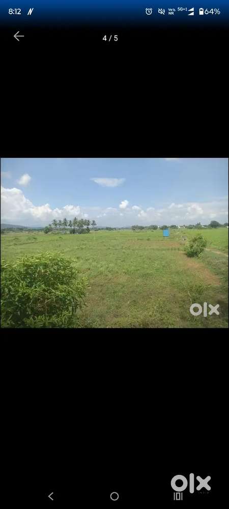 Agriculture land sale in usilampatti town sadachipatti village