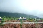 Low Budget Farmland sale in Ettimadai Coimbatore