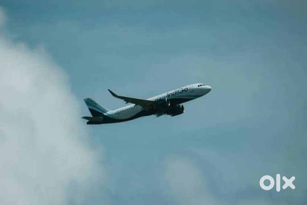 Urgent requirements for ground staff job in Indigo airline