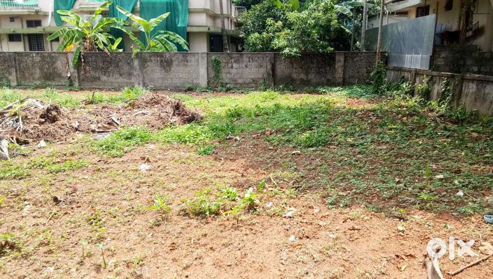 20 cent land for for sale in Mangalathunada