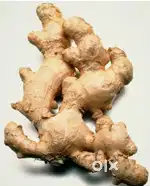 Dry Ginger