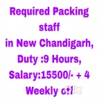 Packing Job New Chandigarh