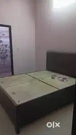 Girls PG for Working Student