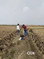 PLOT NEAR ULWE MUMBAI 3.0