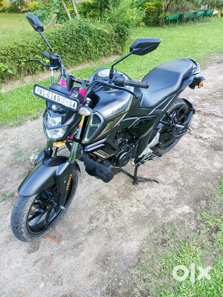 FZ s For Sale