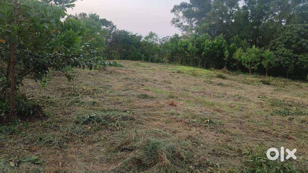 Property near kinfra park mattanur