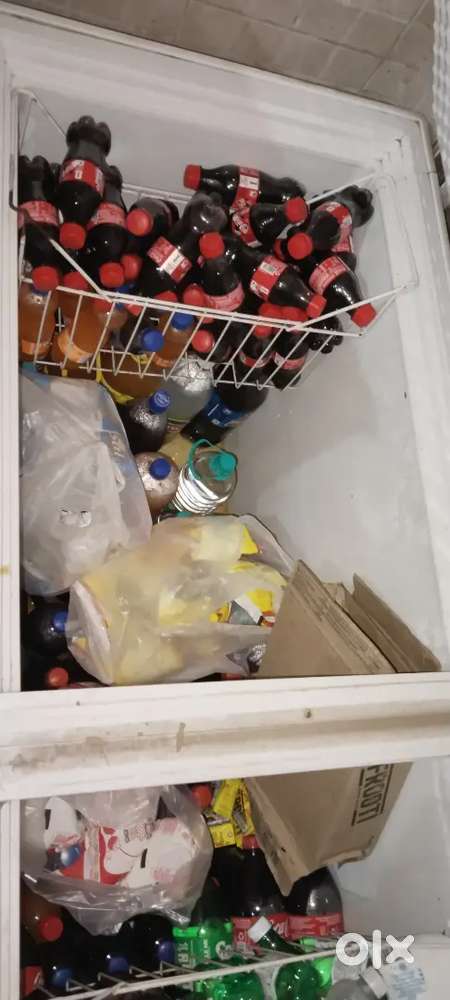 Blue star Deep fridge 550 litre