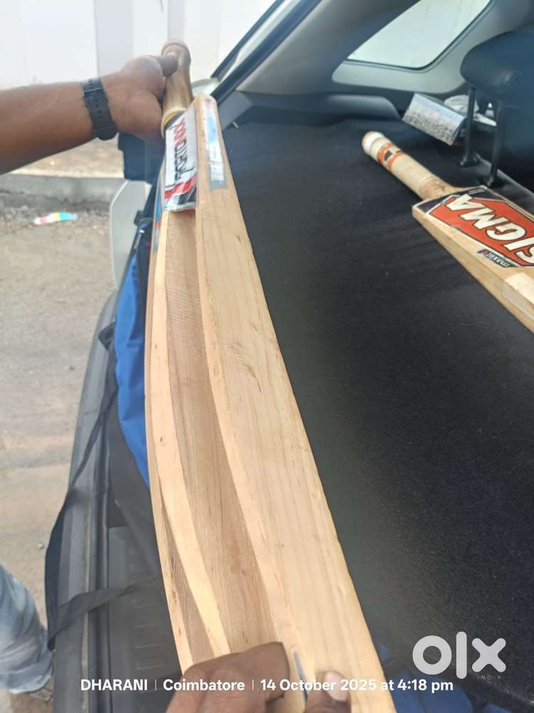 Signa and sportinux bat well scooped bat brand new