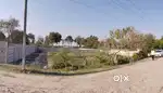Urgent Sale Farmhouse Resort Land at Bhalla Farm Nawabganj Kanpur Road