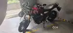 Triumph speed 400 2024
