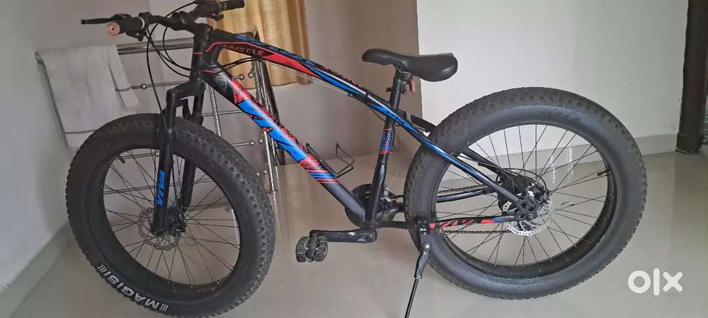 Viva 21 gear adult bike