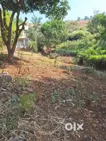 Agriculture land for Sale vadeshwr Maval pune